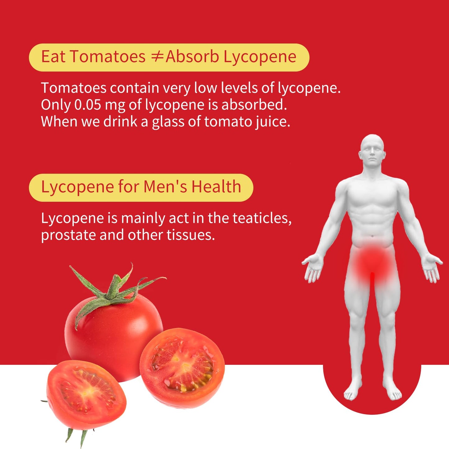 GANOHERB Lycopene Supplement for Men – 100 mg Lycopene, 60 Rapid Release Capsules, 2-Month Supply