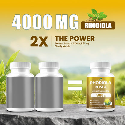 4000MG Rhodiola Rosea with Ashwagandha – Organic Adaptogen for Clarity & Vitality | 120 Capsules
