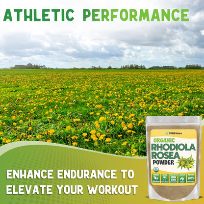 XPRS Nutra Organic Rhodiola Rosea Powder – USDA Organic, Vegan, Cognition & Energy (1 oz)
