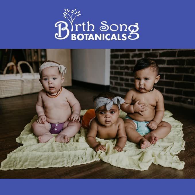 Birth Song Botanicals Children's Immune Tincture - Organic 1oz