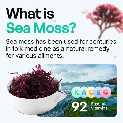 Organic Irish Sea Moss Pills - Wildcrafted Dr Sebi Inspired Seamoss Blend with Turmeric, Burdock Root & Bladderwrack, Enhanced with Black Pepper - 60 Capsules