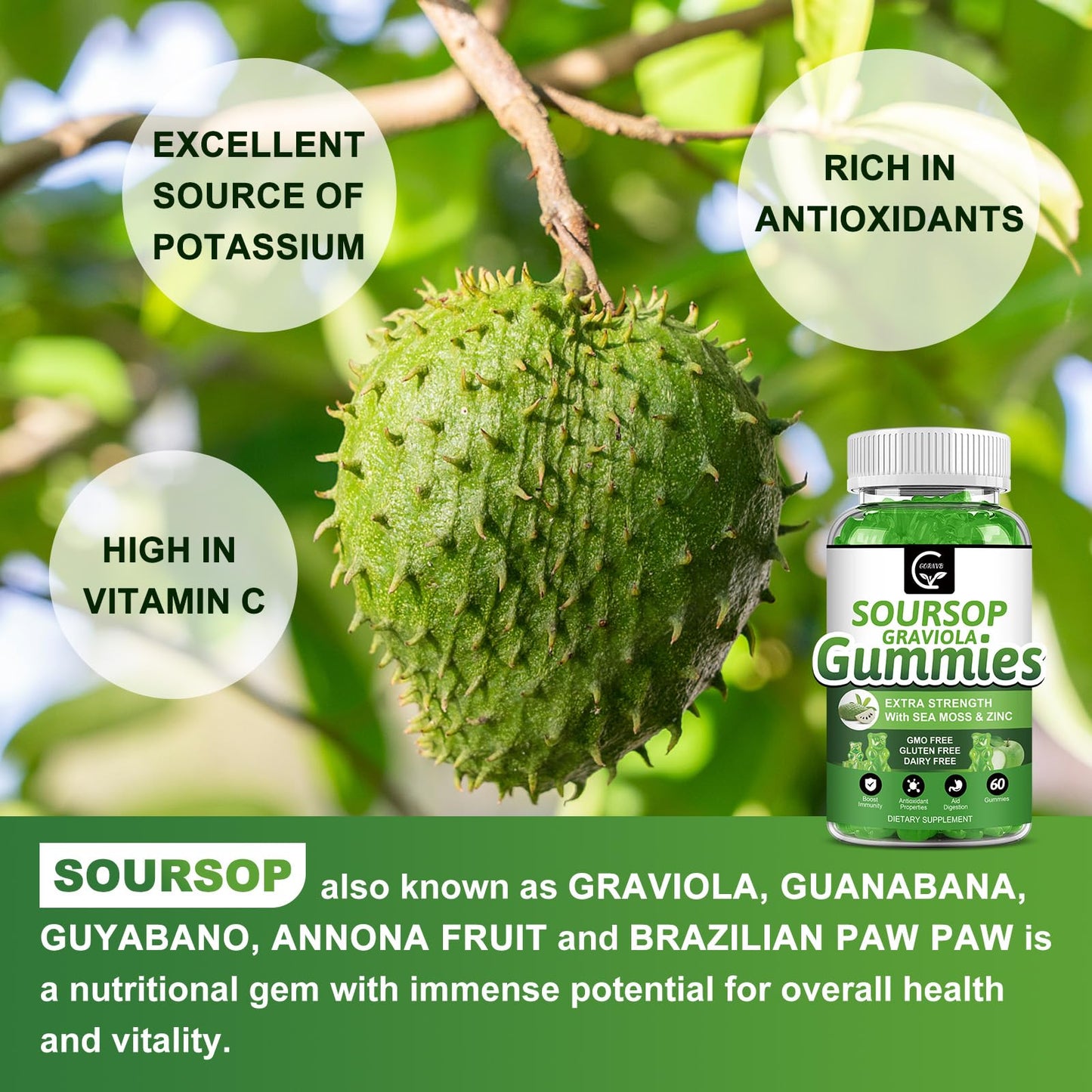 Organic Soursop Graviola Gummies – 2200mg, Zinc & Vitamin C (60)
