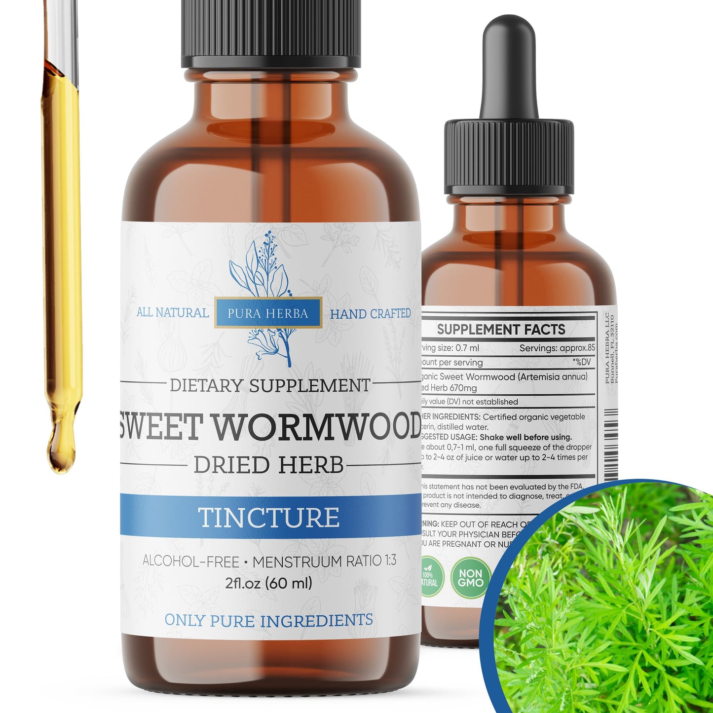 Organic Sweet Wormwood Liquid Drops - Parasite Cleanse & Gut Detox (Vegan, Alcohol-Free, Made in USA, 2 Fl Oz)