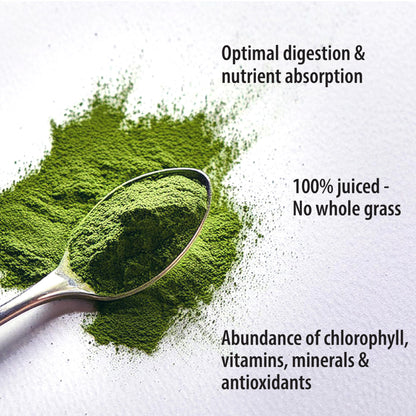 Organic Traditions Wheat Grass Powder - Gluten Free, Vegan, Non-GMO (150g)