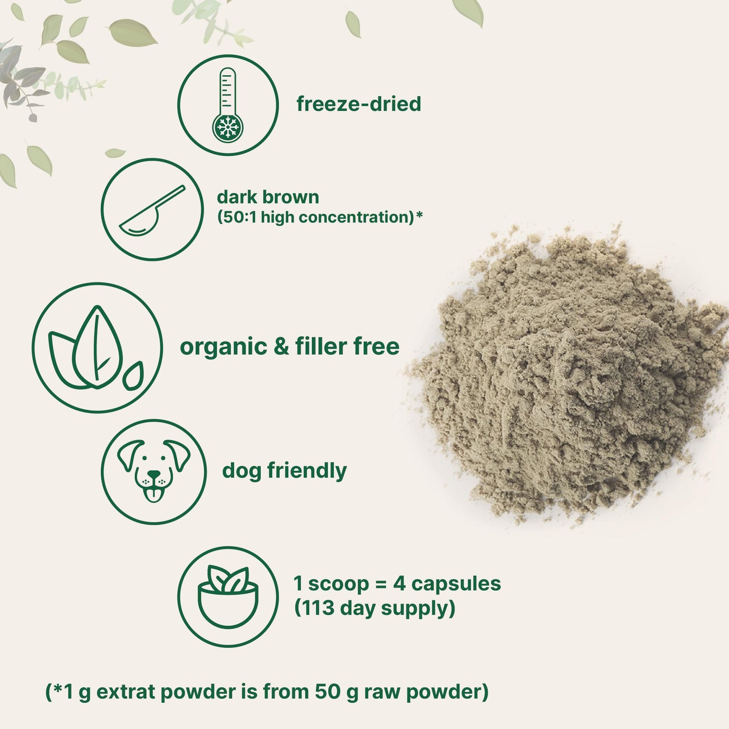 Turkey Tail Mushroom Powder 50:1 Extract - 8 oz Organic Freeze-Dried | Immune Support & Cellular Health (Pet Friendly)