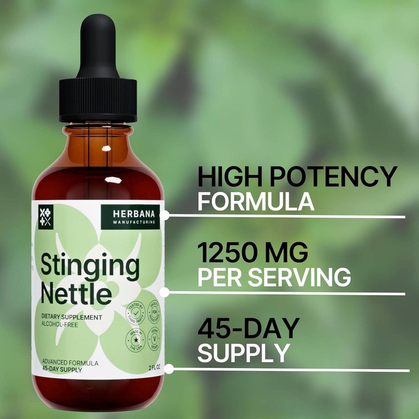 Stinging Nettle Leaf & Root Liquid Extract – Urinary & Kidney Support (2 oz) | Organic Urtica Dioica