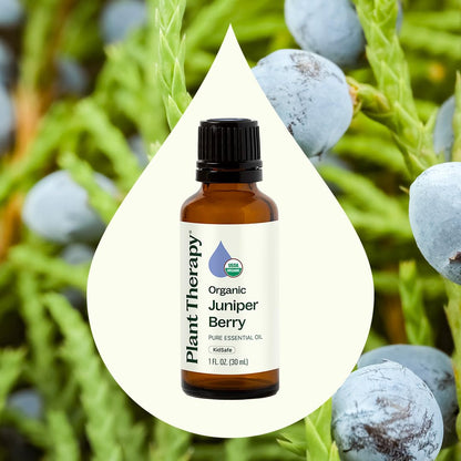 Plant Therapy Organic Juniper Berry Essential Oil 10 mL | 100% Pure & Therapeutic Grade