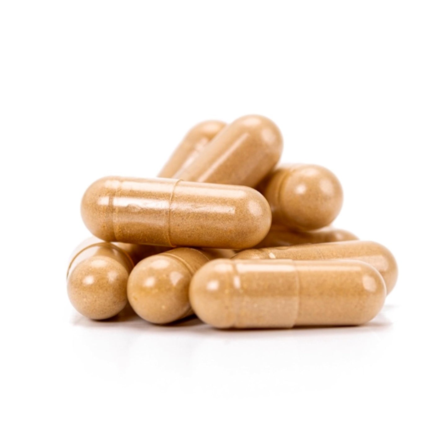 North Spore Clarity Mushroom Extract Capsules | Lion's Mane, Reishi & Cordyceps – 120ct
