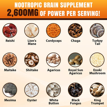 20-in-1 Mushroom Complex for Brain & Focus | Lion's Mane & Reishi