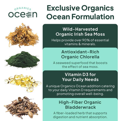 Organics Ocean Wild Sea Moss Capsules – 60 Capsules | Organic Irish Sea Moss, Bladderwrack, Chlorella & Vitamin D3