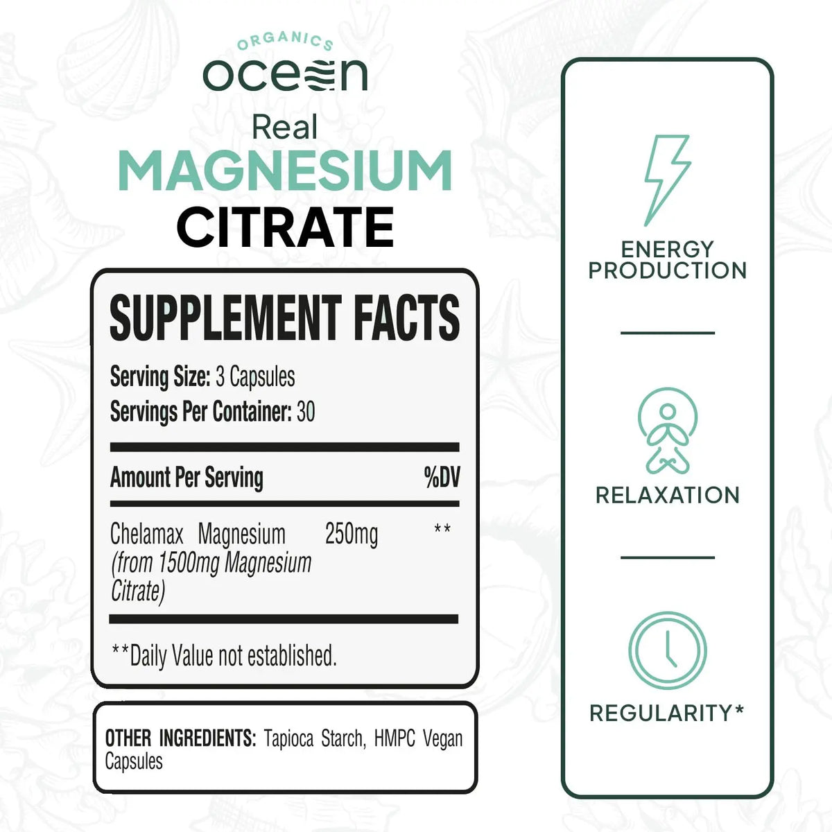 Organics Ocean Real Magnesium Citrate - High Absorption Chelated Magnesium Supplement - 3 Pack Bulk BritishVita | Premium UK Vitamins & Wellness Supplements