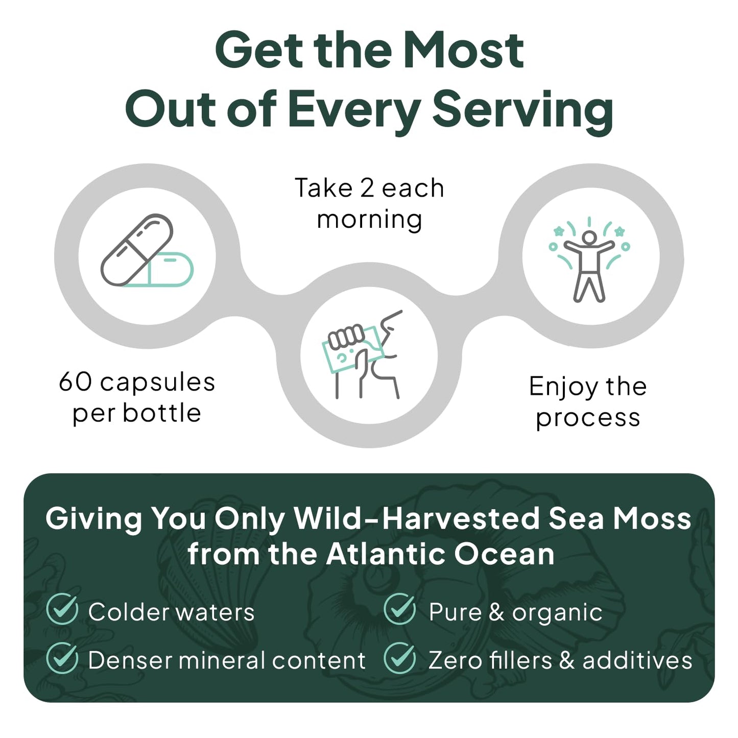 Organics Ocean Wild Sea Moss Capsules – 60 Capsules | Organic Irish Sea Moss, Bladderwrack, Chlorella & Vitamin D3