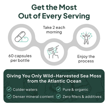 Organics Ocean Wild Sea Moss Capsules – 60 Capsules | Organic Irish Sea Moss, Bladderwrack, Chlorella & Vitamin D3
