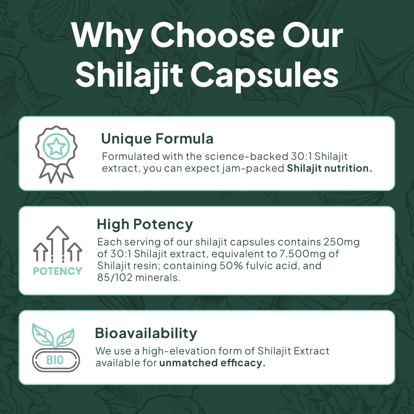 Organics Ocean One-Per-Day Shilajit Capsules – Age-Defying, Bone Strength & Hormone Support