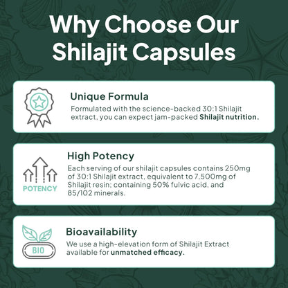 Organics Ocean One-Per-Day Shilajit Capsules – Age-Defying, Bone Strength & Hormone Support