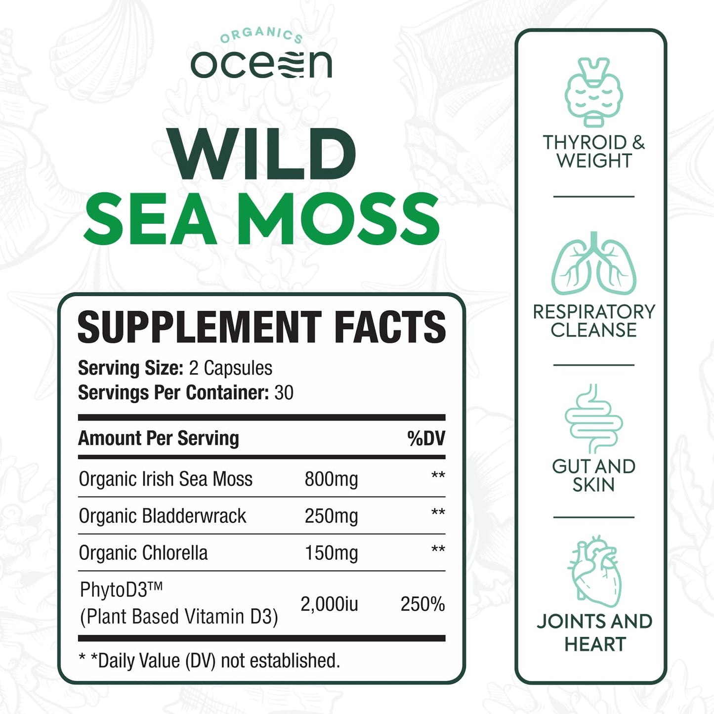 Organics Ocean Wild Sea Moss Capsules – 60 Capsules | Organic Irish Sea Moss, Bladderwrack, Chlorella & Vitamin D3