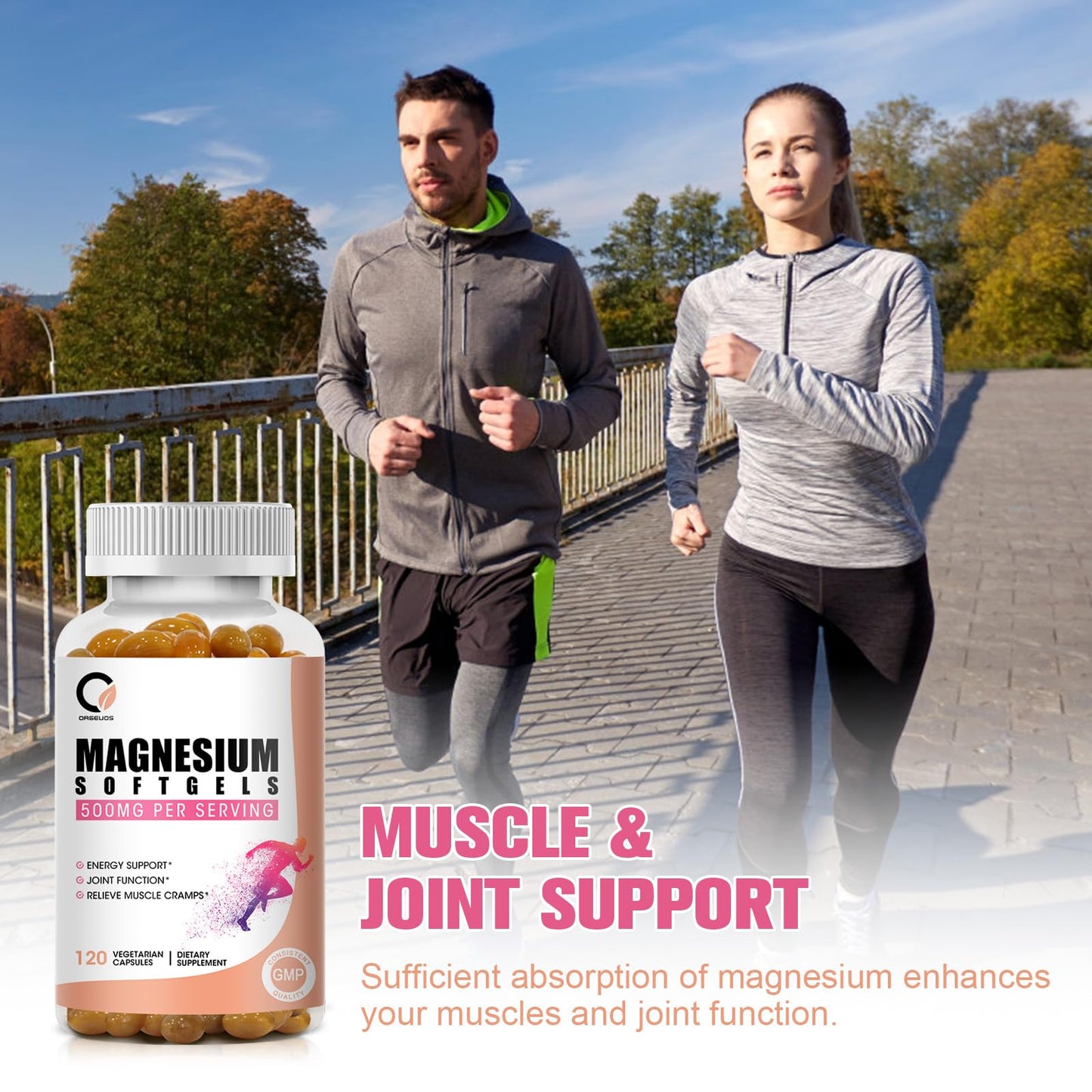 ORGEUOS Magnesium Glycinate 500mg Capsules – High Absorption, Non-GMO, Vegan, 120 Count