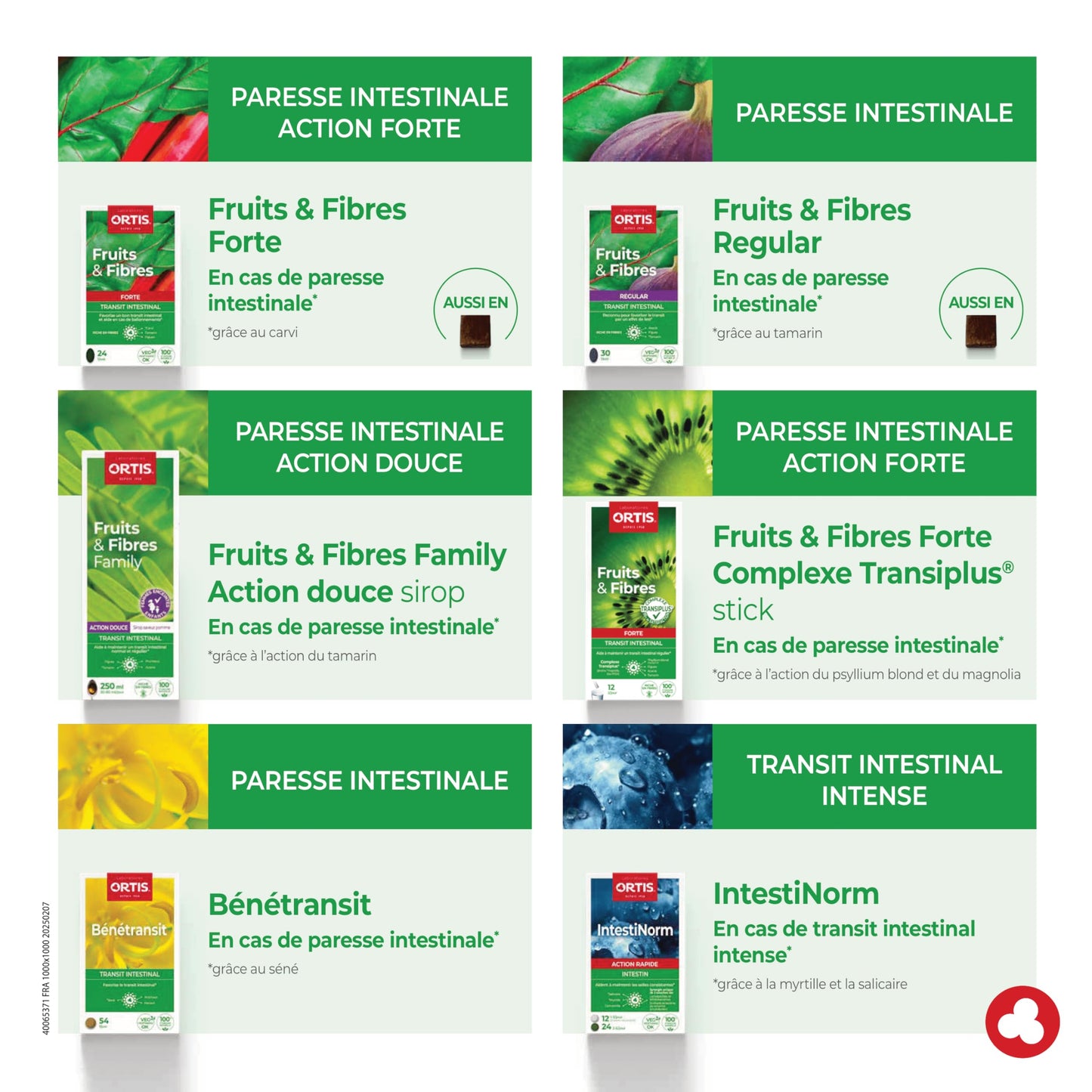 Ortis Fruits & Fibres Regular 24 Cubes - Classic Fruit & Fiber Snack