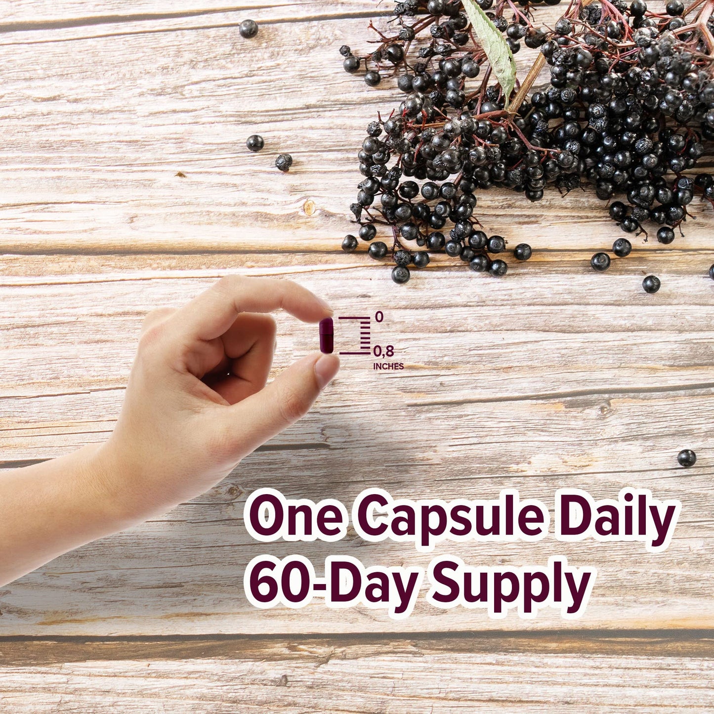 ORZAX Elderberry Capsules – Immune Support with Vitamin C & Zinc | 60 Vegetable Capsules