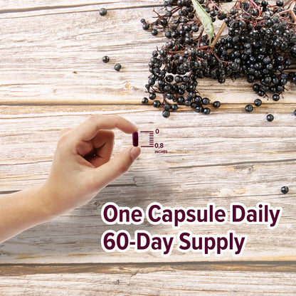 ORZAX Elderberry Capsules – Immune Support with Vitamin C & Zinc | 60 Vegetable Capsules