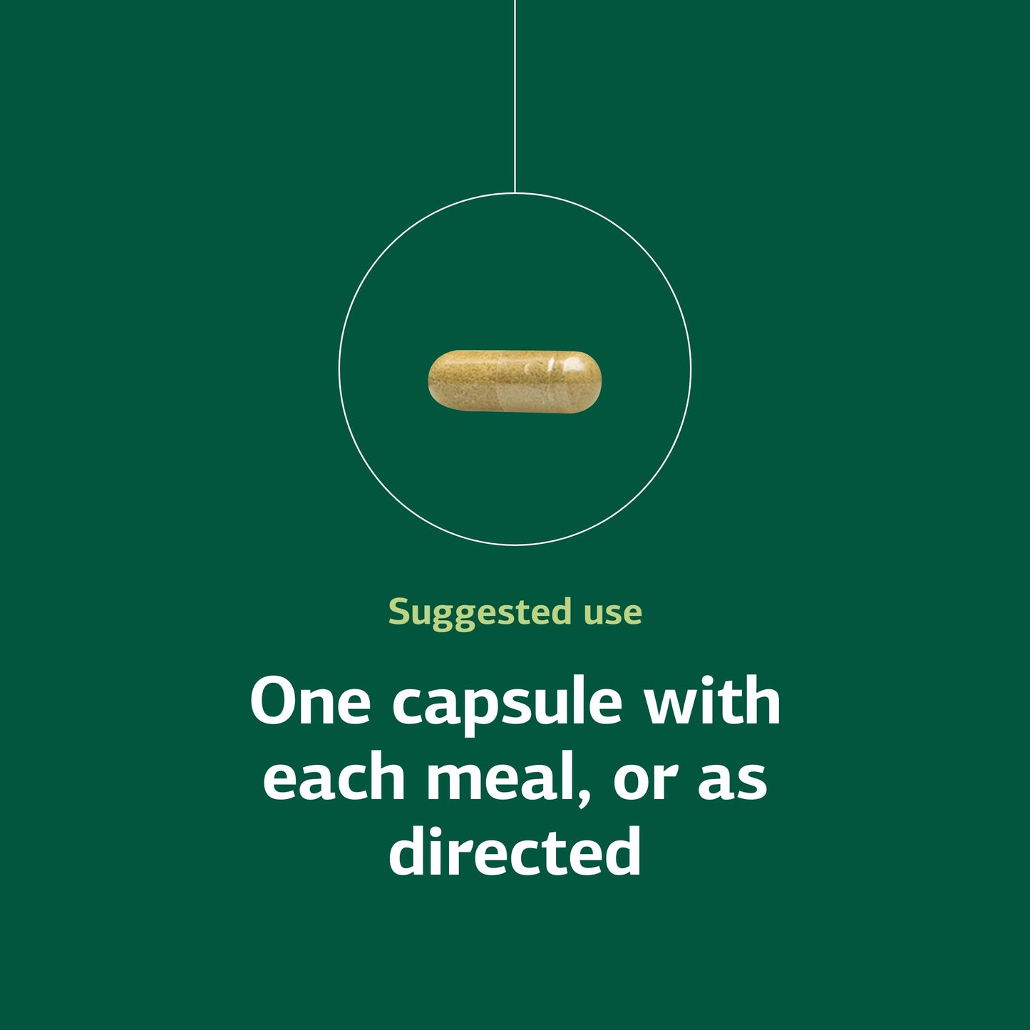 Standard Process Ostarplex - Connective Tissue & Liver Health, 90 Capsules