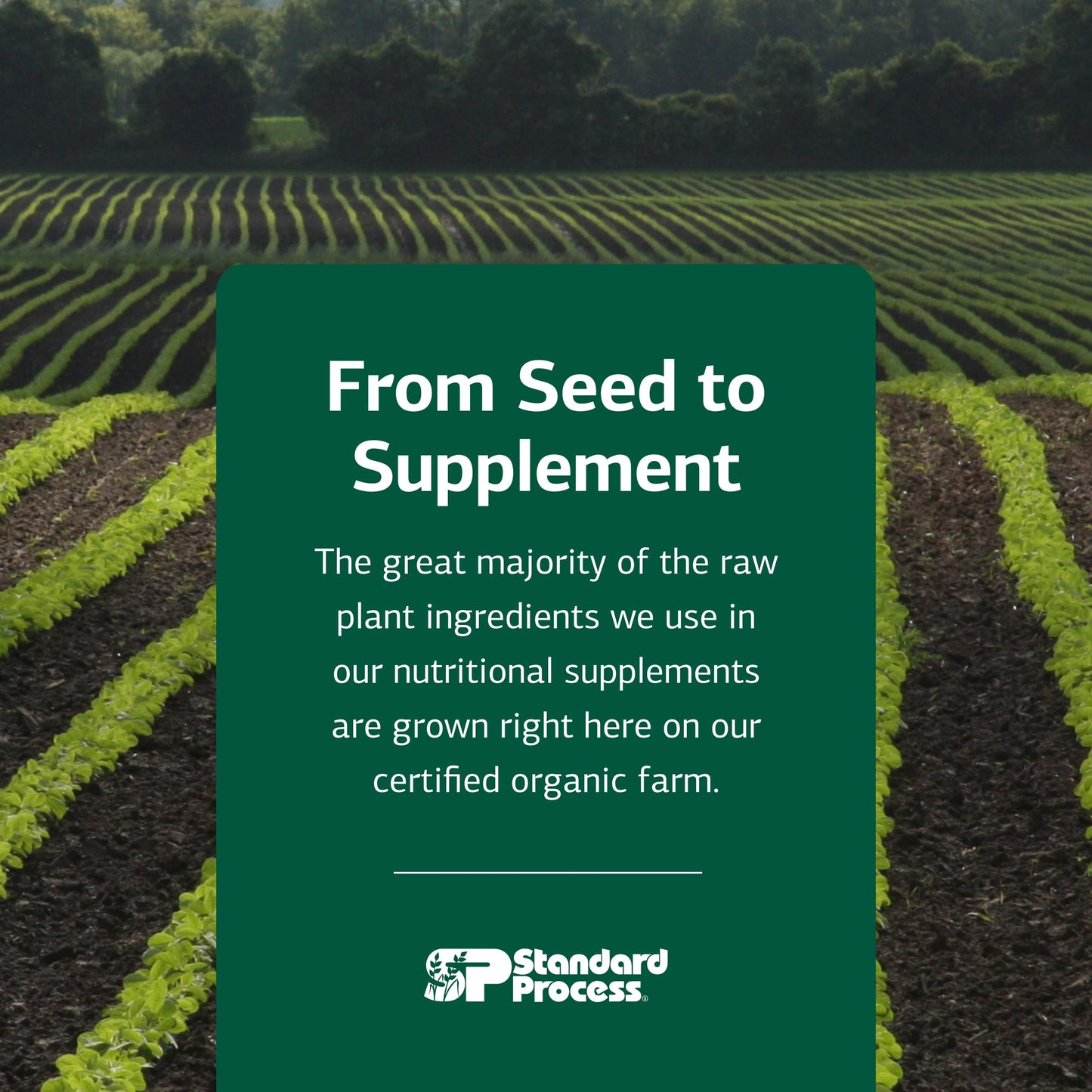 Standard Process Ostarplex - Connective Tissue & Liver Health, 90 Capsules