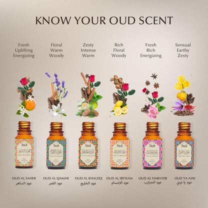 Oud Diffuser Oil Gift Set – 6 x 10ml | Pure Halal Oudh Oils | Dukhni