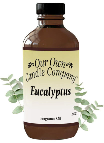 Our Own Candle Company Eucalyptus Diffuser Oil 2oz - Premium Grade