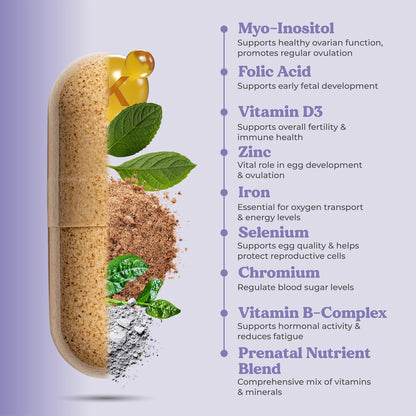 Ovalife Fertility Supplements for Women – Hormone Balance & Ovarian Support