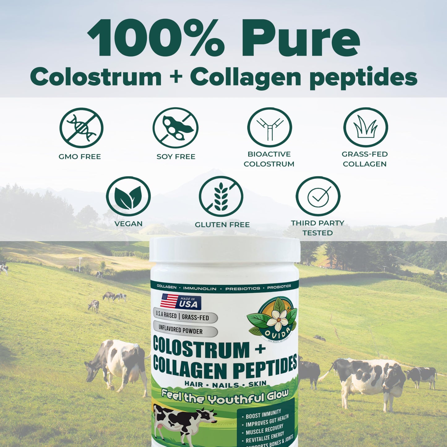 OVIDA Premium Bovine Colostrum & Collagen Peptides – Grass-Fed, Non-GMO, 300g