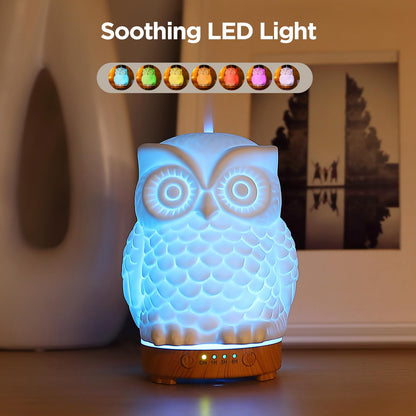 Owl Ceramic Aromatherapy Diffuser 160ml – INRORANS Ultrasonic Stone Owl Night Light