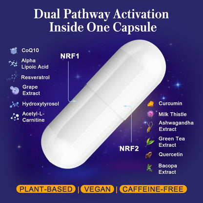 NRF1 & NRF2 Supplement 1500mg | Dual Activator with CoQ10, Curcumin, Trans-Resveratrol & Ashwagandha | 60 Capsules