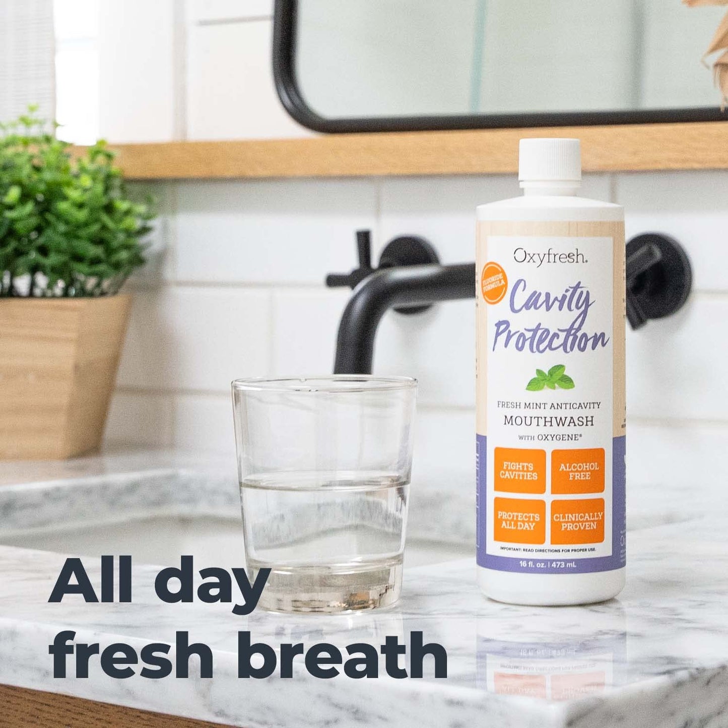 Oxyfresh Cavity Protection Fluoride Mouthwash – Alcohol-Free, Sensitive Teeth, 16 fl oz