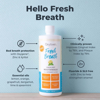 Oxyfresh Lemon Mint Fresh Breath Mouthwash – SLS & Fluoride Free, Alcohol Free – 16 Fl Oz (Pack of 3)