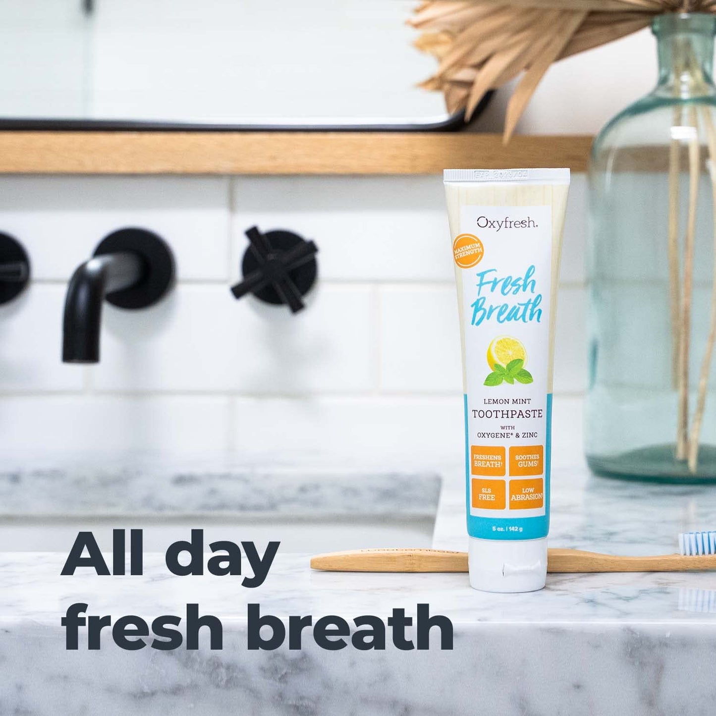 Oxyfresh Premium Lemon Mint Fresh Breath Toothpaste – SLS & Fluoride Free, Low Abrasion, 5oz Pack of 2