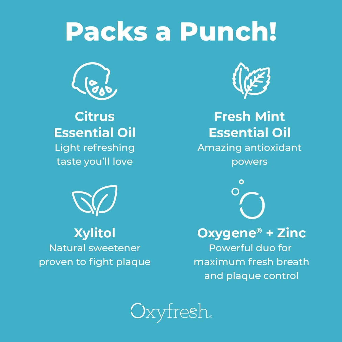 Oxyfresh Premium Lemon Mint Fresh Breath Toothpaste – SLS & Fluoride Free, Low Abrasion, 5oz Pack of 2