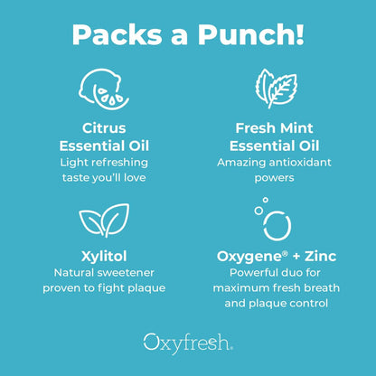 Oxyfresh Premium Lemon Mint Fresh Breath Toothpaste – SLS & Fluoride Free, Low Abrasion, 5oz Pack of 2