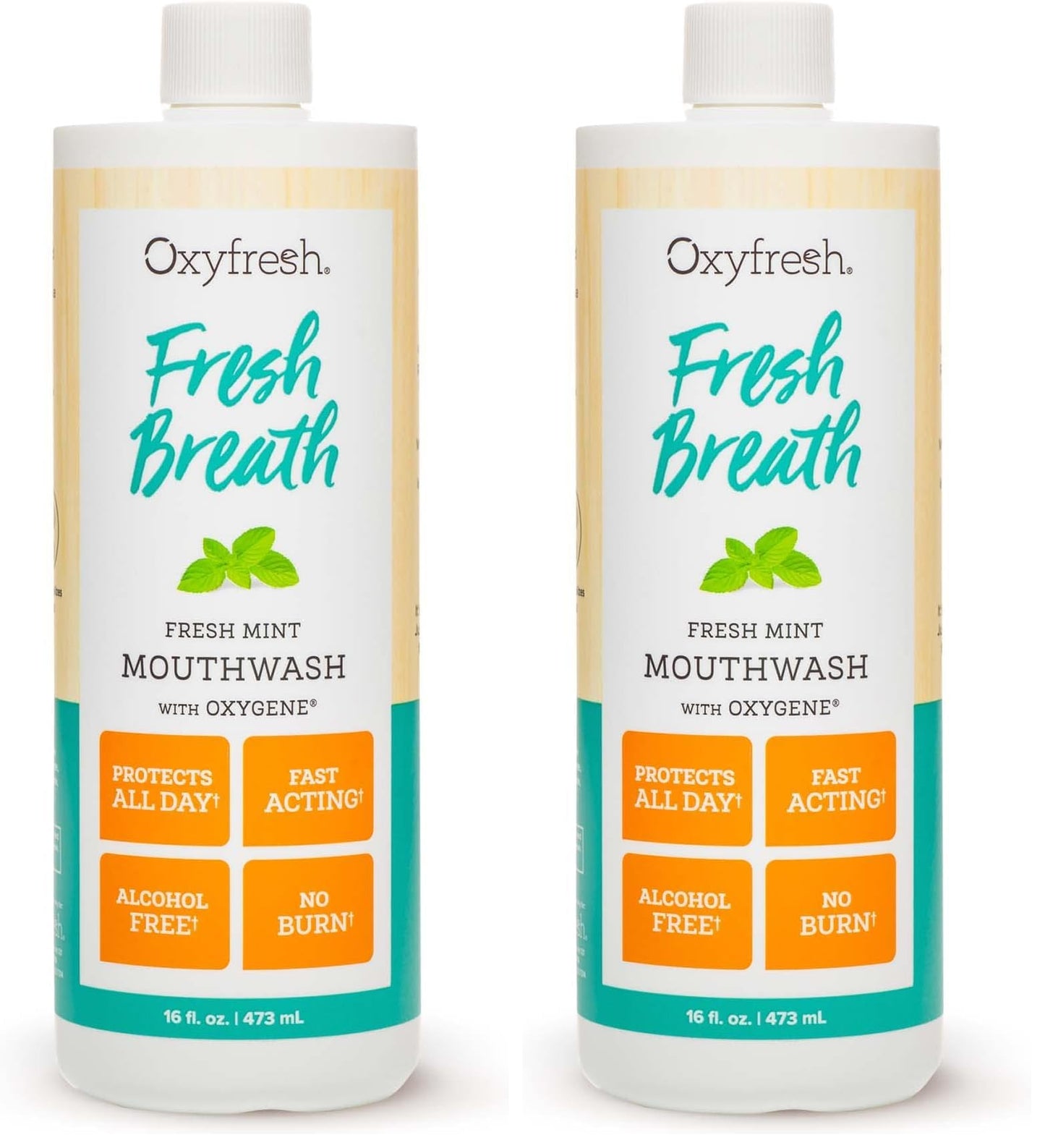 Oxyfresh Fresh Breath Mint Mouthwash – Dentist-Recommended, Alcohol-Free & Fluoride-Free (Pack of 2, 16 oz each)