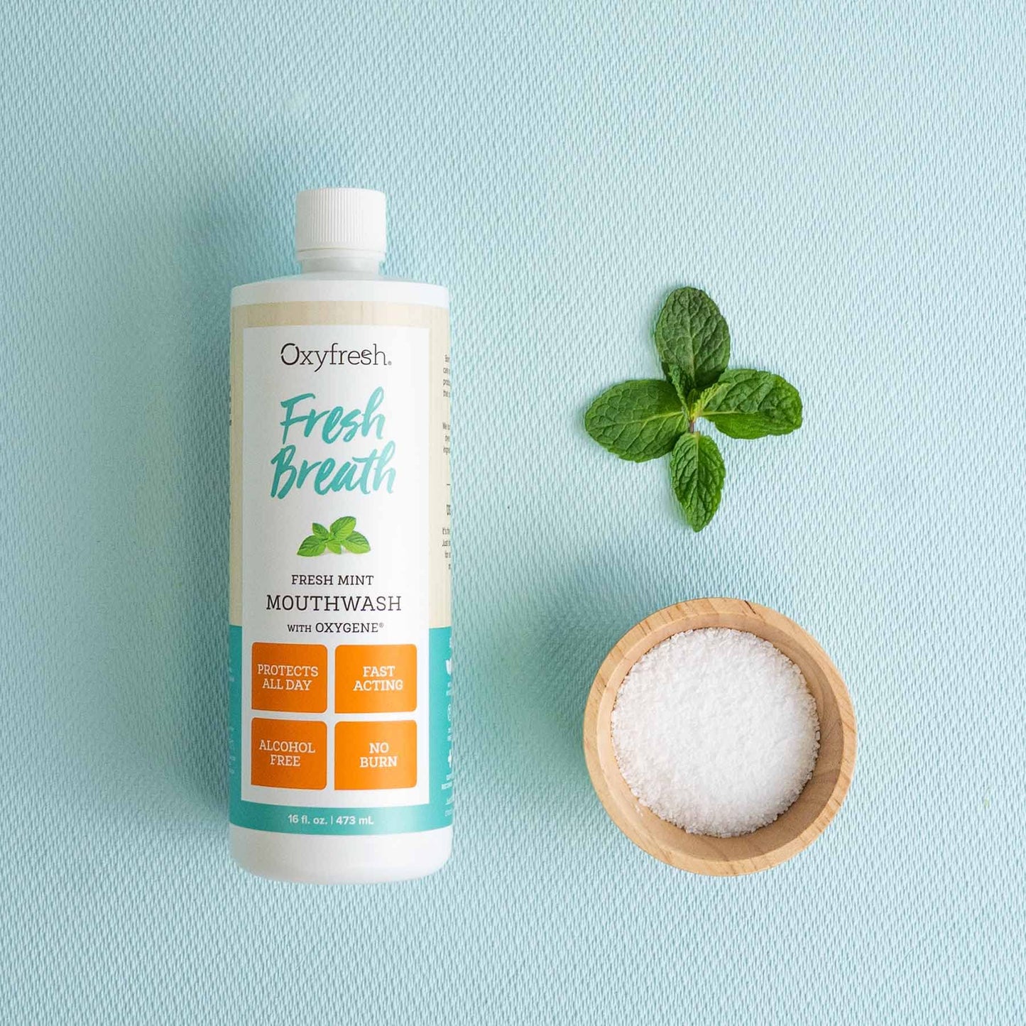 Oxyfresh Fresh Breath Mint Mouthwash – Dentist-Recommended, Alcohol-Free & Fluoride-Free (Pack of 2, 16 oz each)