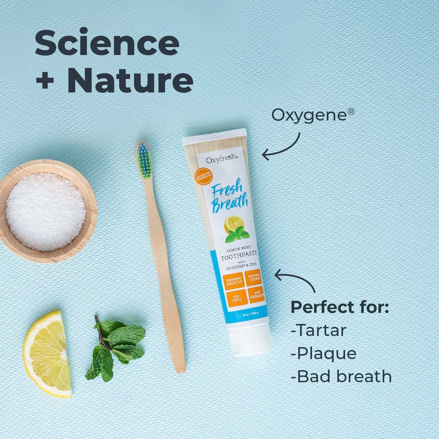Oxyfresh Maximum Fresh Breath Lemon Mint Toothpaste - Clean Teeth & Fresh Breath - SLS & Fluoride Free - 5 oz