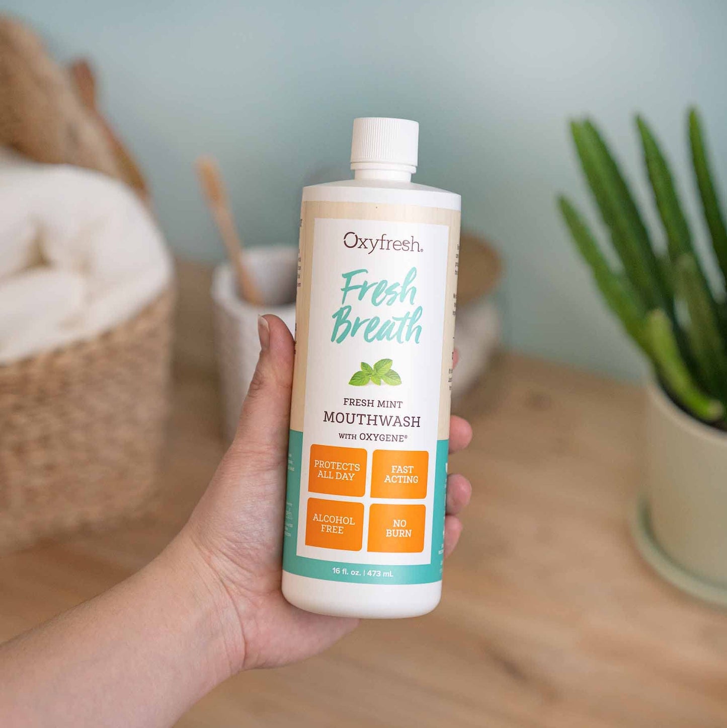 Oxyfresh Fresh Breath Mint Mouthwash – Dentist-Recommended, Alcohol-Free & Fluoride-Free (Pack of 2, 16 oz each)