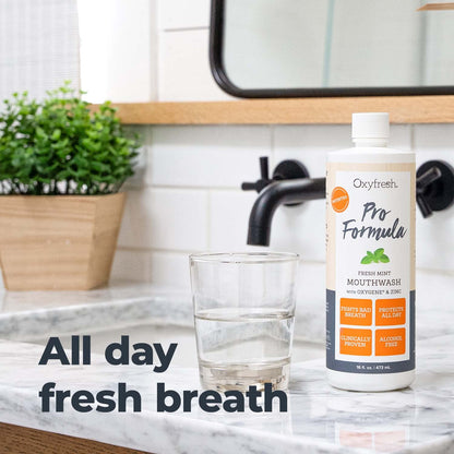 Oxyfresh Pro Formula Fresh Mint Mouthwash – Patented Zinc Mouthrinse, Dye & Alcohol Free (16 oz)