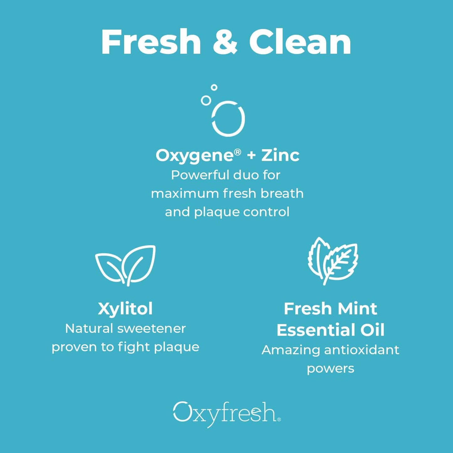 Oxyfresh Pro Formula Fresh Mint Mouthwash – Patented Zinc Mouthrinse, Dye & Alcohol Free (16 oz)