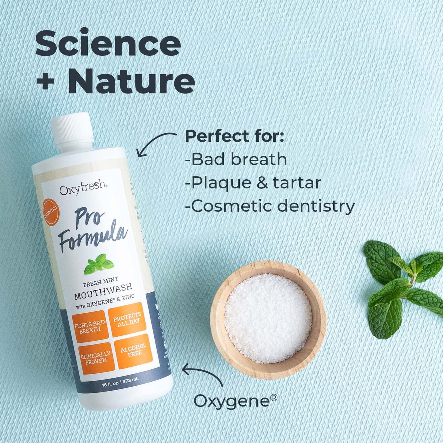 Oxyfresh Pro Formula Fresh Mint Mouthwash – Patented Zinc Mouthrinse for Fresh Breath, Healthy Gums & 1 Gal Dye/Fluoride/Alcohol Free