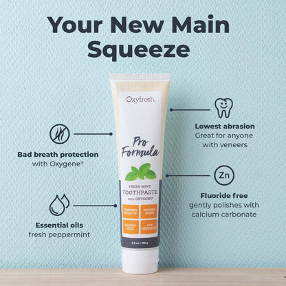 Oxyfresh Pro Formula Fresh Mint Toothpaste – Gentle Low Abrasion, Fluoride-Free, 5.5 oz Pack of 2