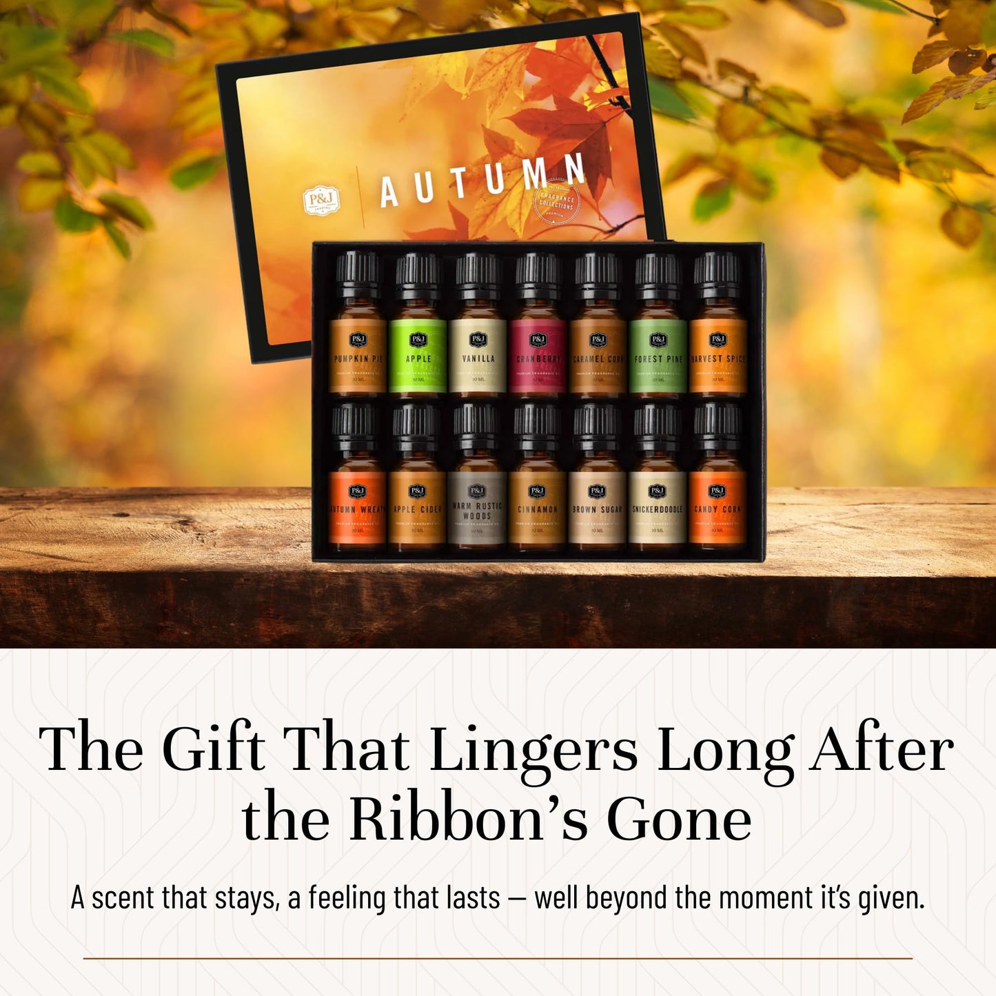 P&J Trading Autumn Set – 14 Fragrance Oils for Candle Making, Soap Making & Diffusers
