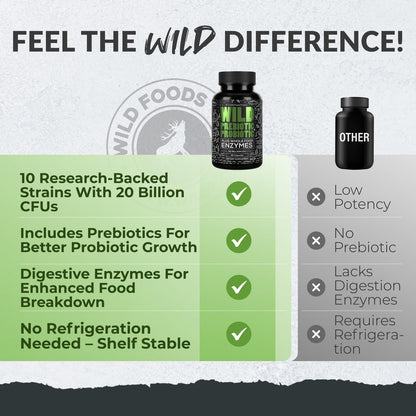 Wild Prebiotics & Probiotics with Digestive Enzymes – 20B CFU, 10 Strains, for Women & Men, 30 Count (Pack of 2)