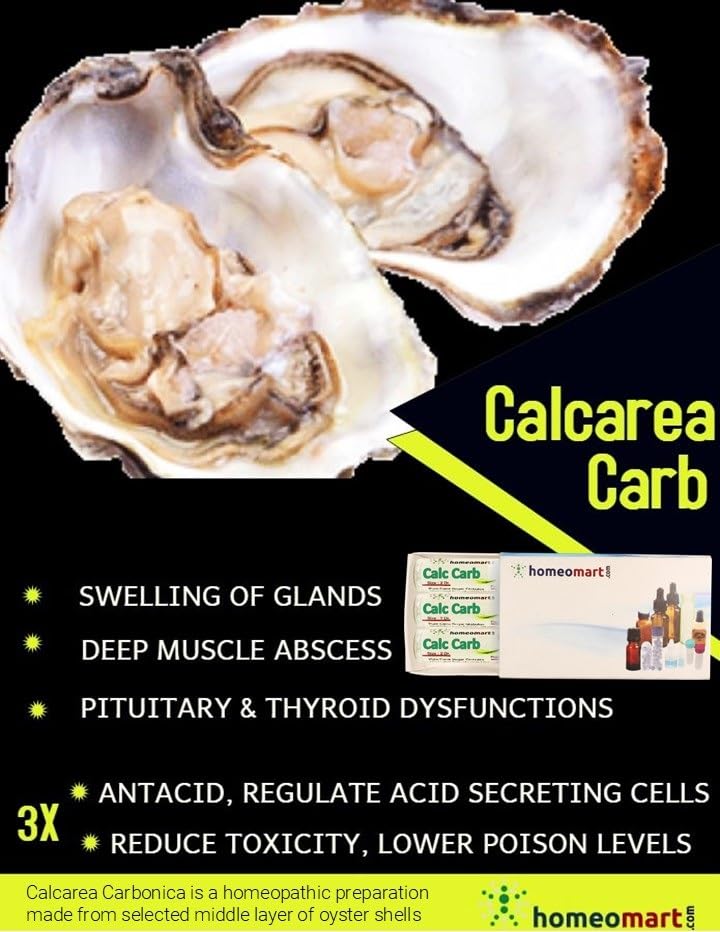 Calcarea Carbonica Homeopathy Pellets 6C Potency – Pack of 3 | Homeomart