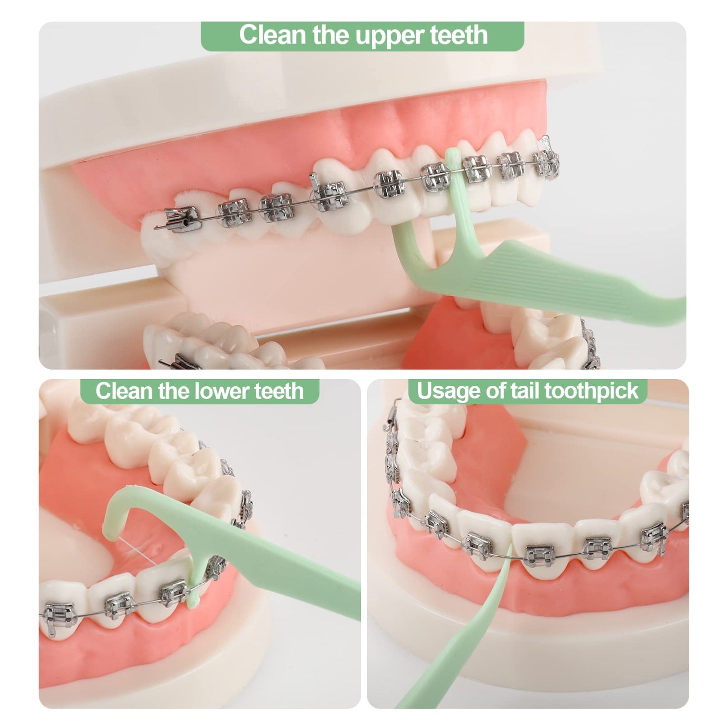 500 Count Orthodontic Flossers with Dispenser – Braces Flossers (Pack of 5)