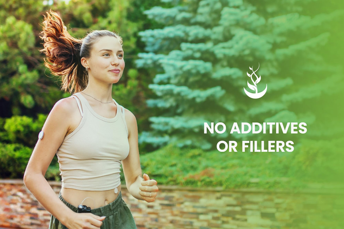 Pure Celery Seed Capsules (365) – No Magnesium Or Rice Fillers | Lab Verified